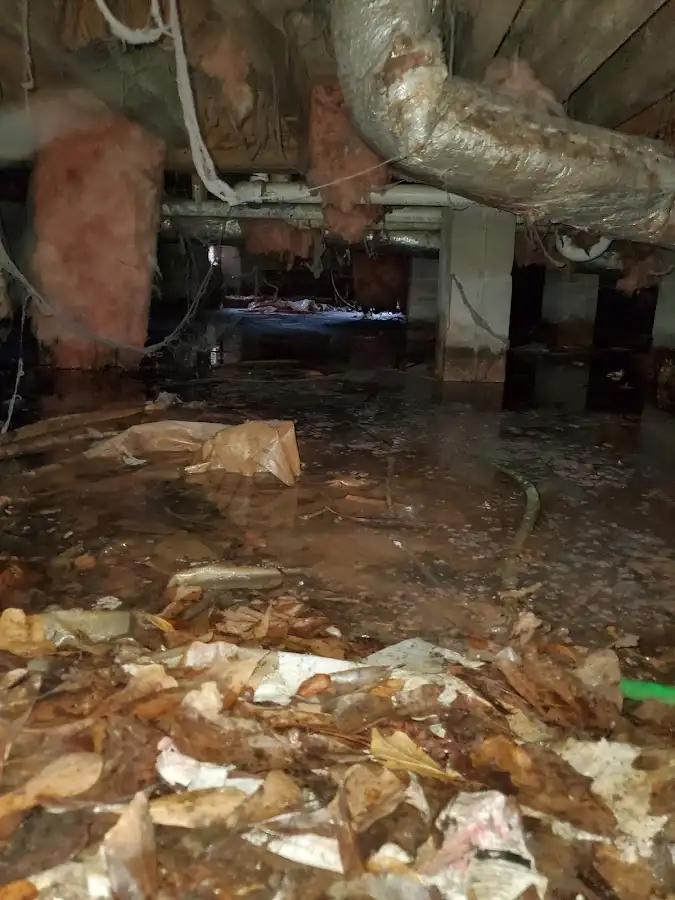 Crawl space flood assessment for Leak Detection & Repair in La Crescent