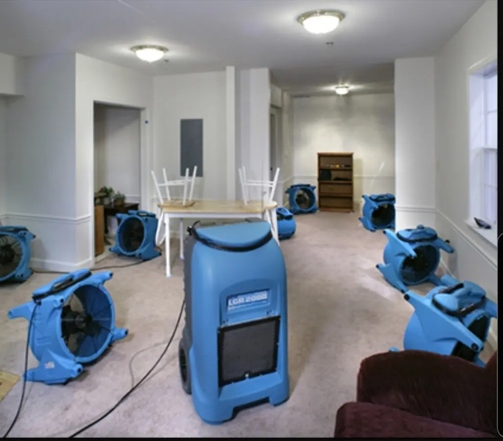 Air movers and dehumidifier setup for Water Extraction & Removal in La Crescent