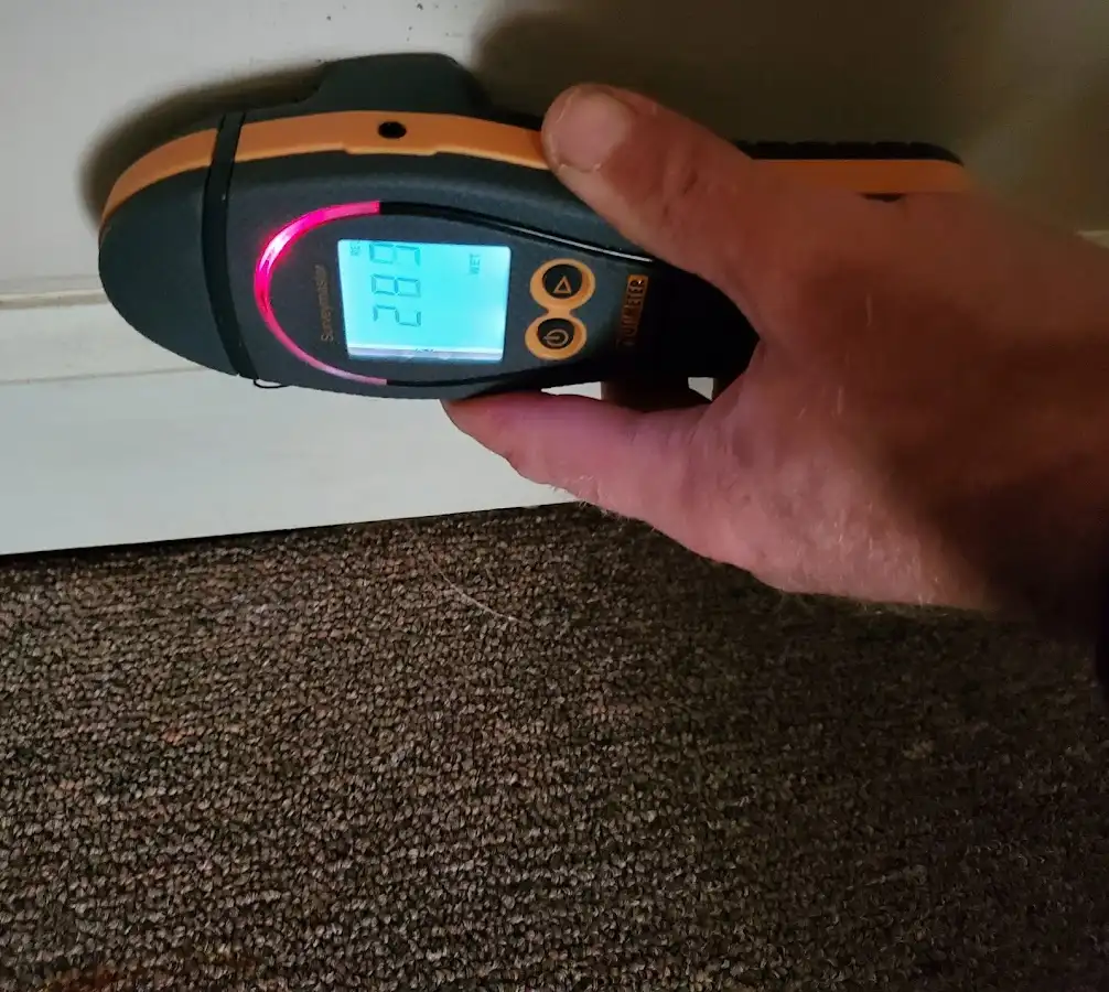 Moisture detection at baseboard during Mold Inspection & Testing in La Crescent